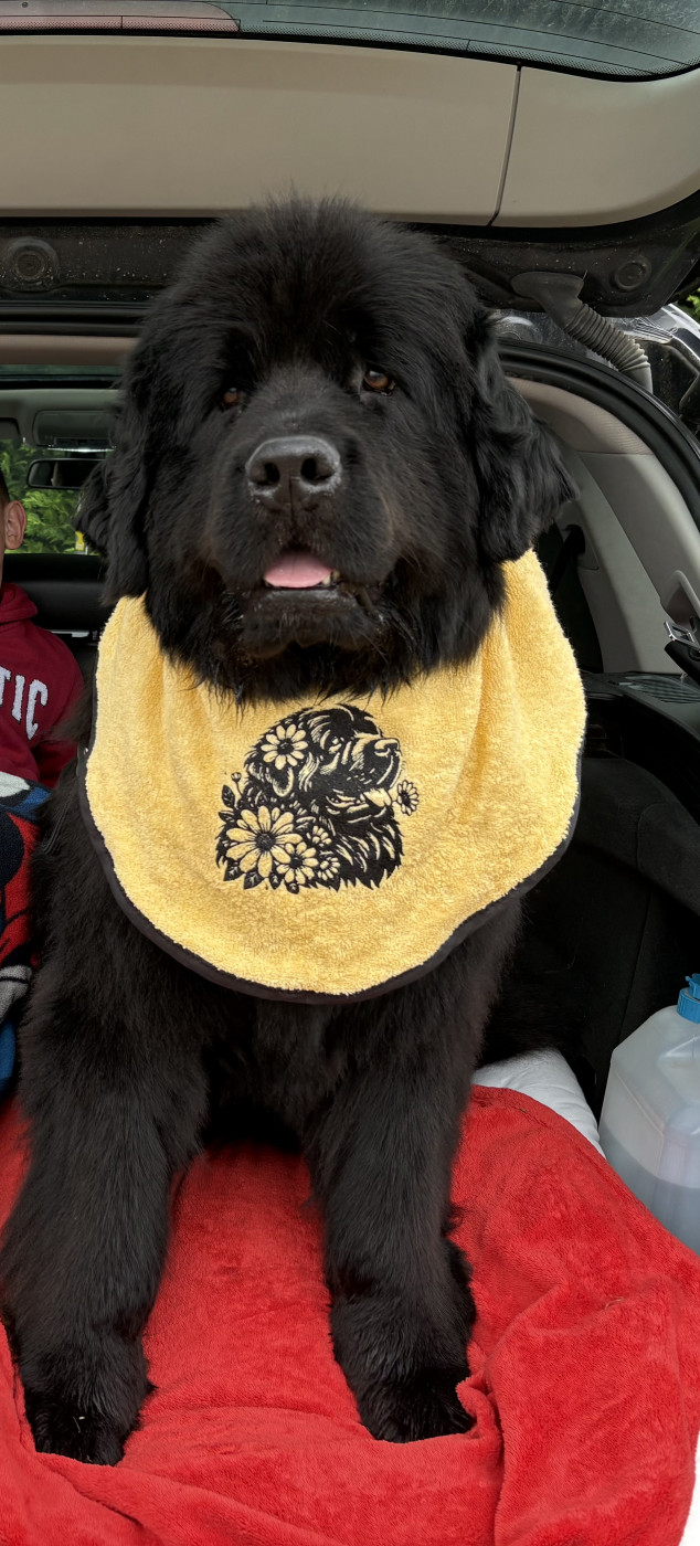 USHKA De La Terre De Neaure