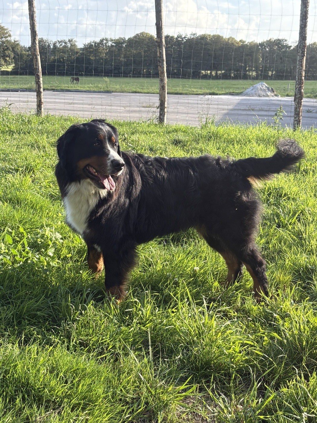 Tamara De la Ferme de la Pessoutie