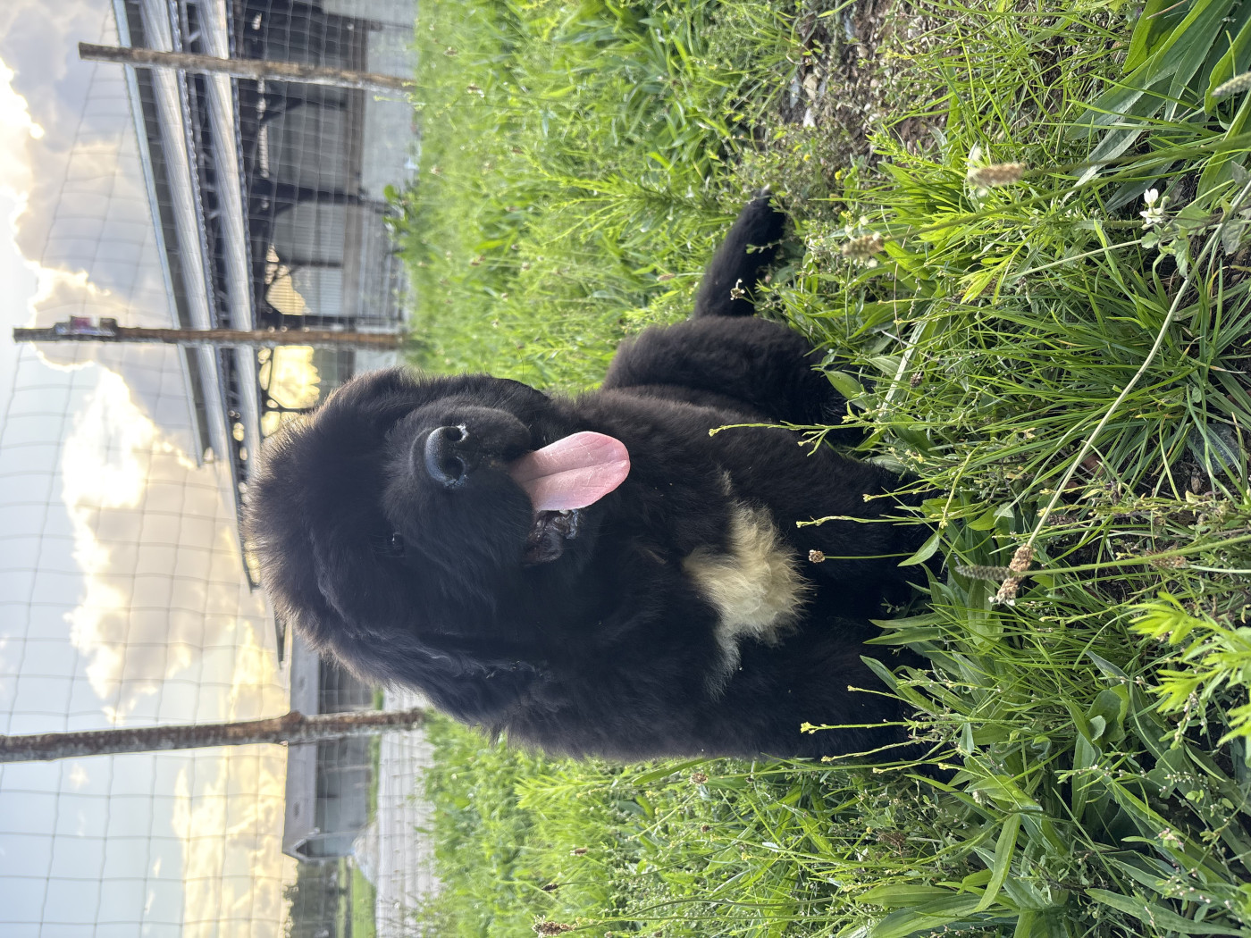 Portée Ushka de la terre de Neaure x Oukaya Forever Silence radio